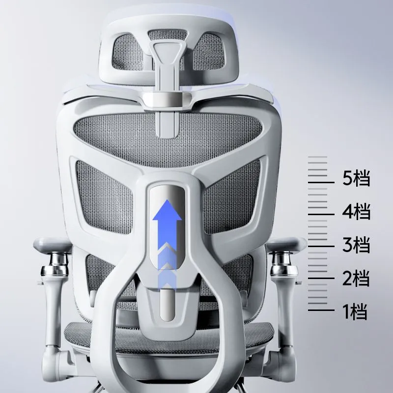 Ergonomic Computer Chair with  - огляд і ціна Home Office Ergonomics